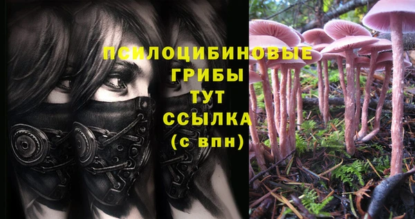 дживик Богданович