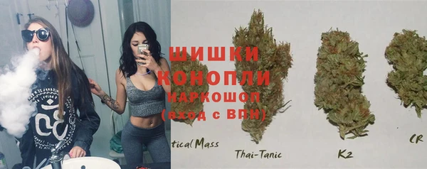 дживик Богданович
