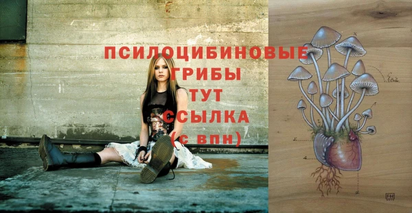 круглые Белокуриха