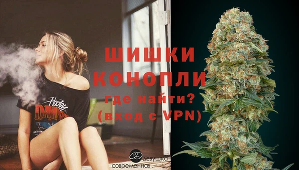 твердый Богородск