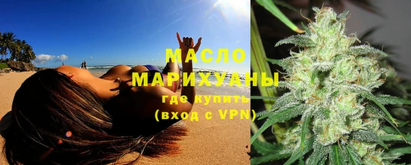гидра Бородино