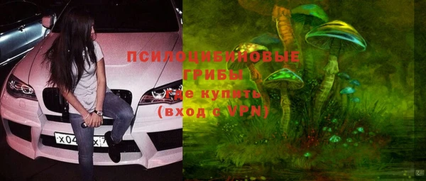 дживик Богданович