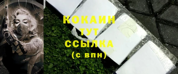дживик Богданович