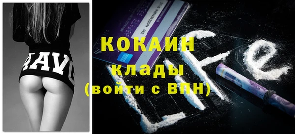 гидра Бородино